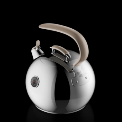 Индукционный чайник от Цептер Индукционный чайник от Цептер